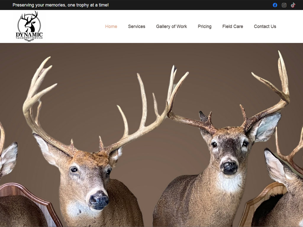 Image of taxidermy website