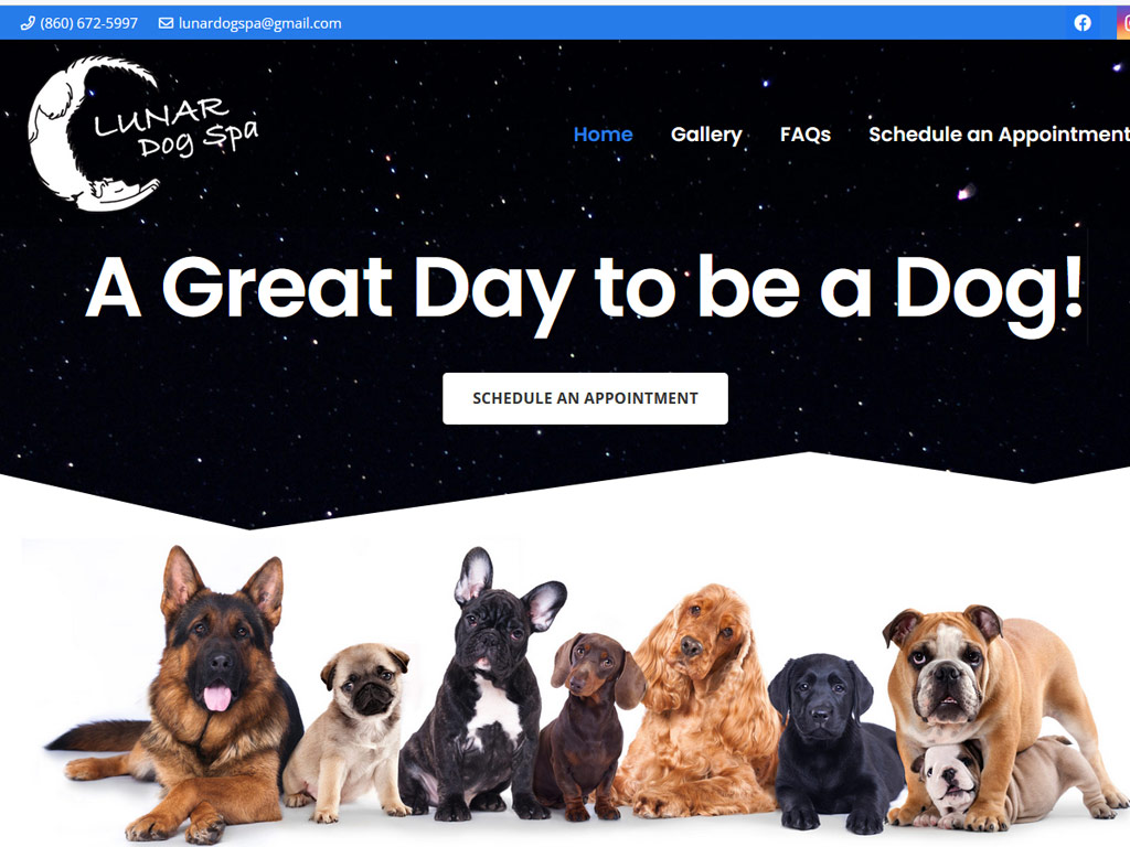 Image of dog grooming website design, Lunar Dog Spa